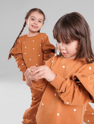 ست بیرونی قلبی